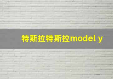 特斯拉特斯拉model y